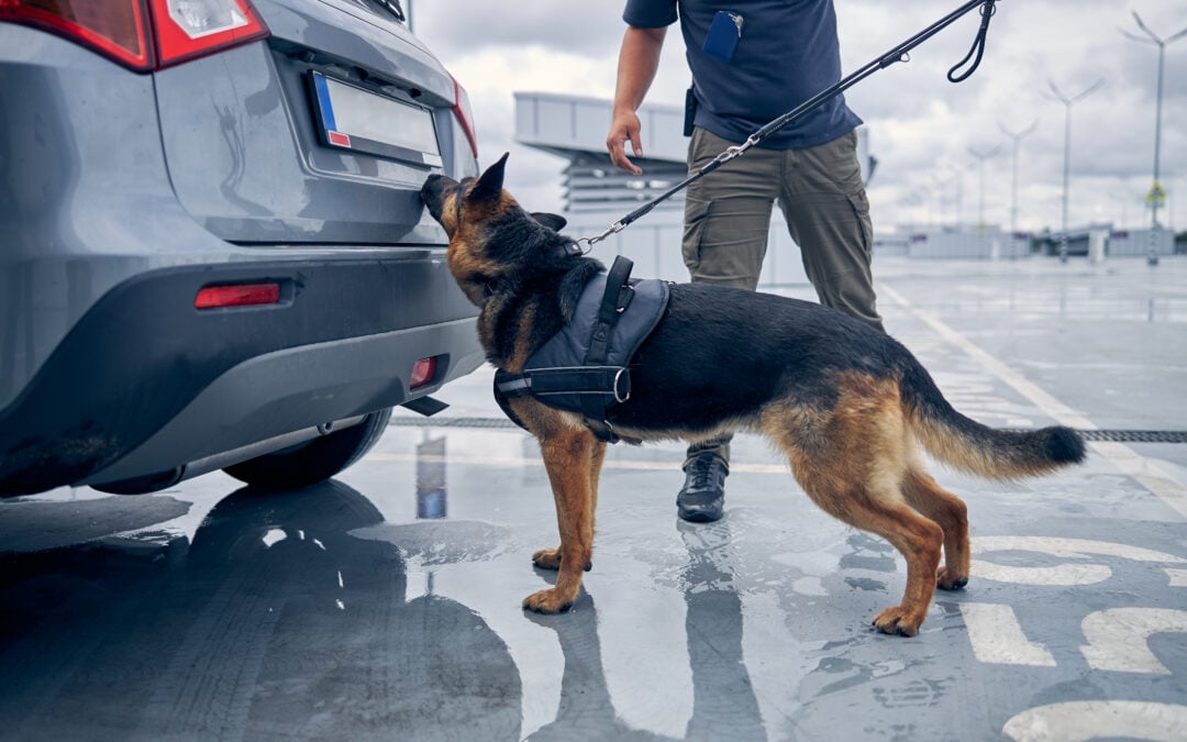 Extending Traffic Stops – Understanding and Avoiding the Legal Risks  